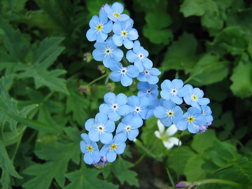 Перейти к оригиналу