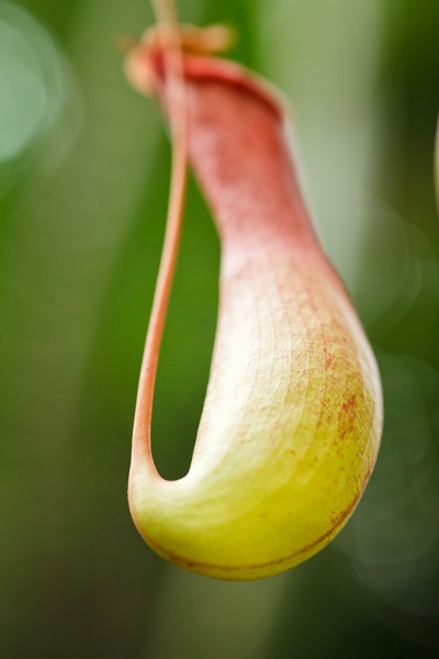 Знакомство со своим объективом