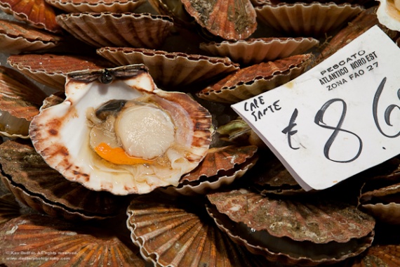 Планирование путешествия за фотографиями