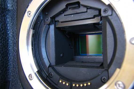 Покупка вашего первого зеркального фотоаппарата: Canon и Nikon, а также другие производители