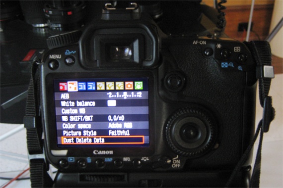 Покупка вашего первого зеркального фотоаппарата: Canon и Nikon, а также другие производители