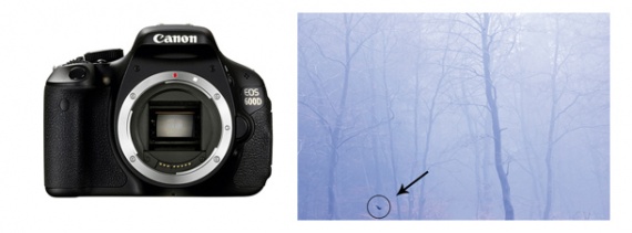 Как чистить цифровой зеркальный фотоаппарат от компании Canon