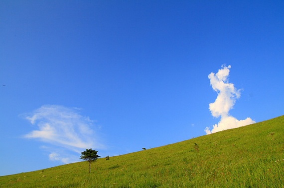 Как сделать отличные летние фотографии