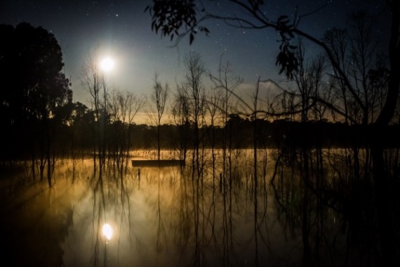 5 вариантов первой покупки для фотоаппарата