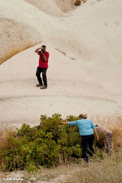 Люди на фотографиях – это хорошо