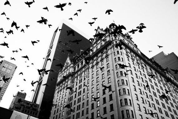 Виновен в чрезмерной постобработке?