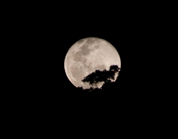 Фото луны