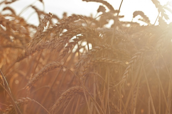 Подчеркивание времени года