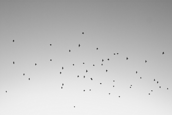 Использование плоского света