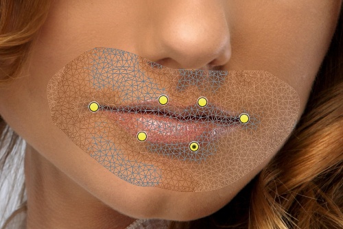 Сетка на слое