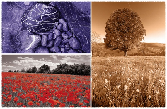 10 лучших режимов наложения для фотографов (и как их использовать)