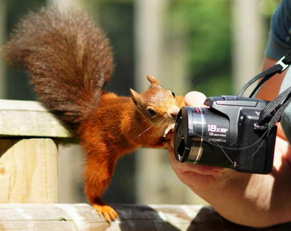 10 основных ошибок, которые совершает каждый фотограф